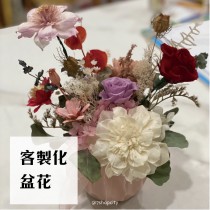 《客製化花束》索拉花 盆花 可擴香的花束 開業 慶生 求婚 情人節